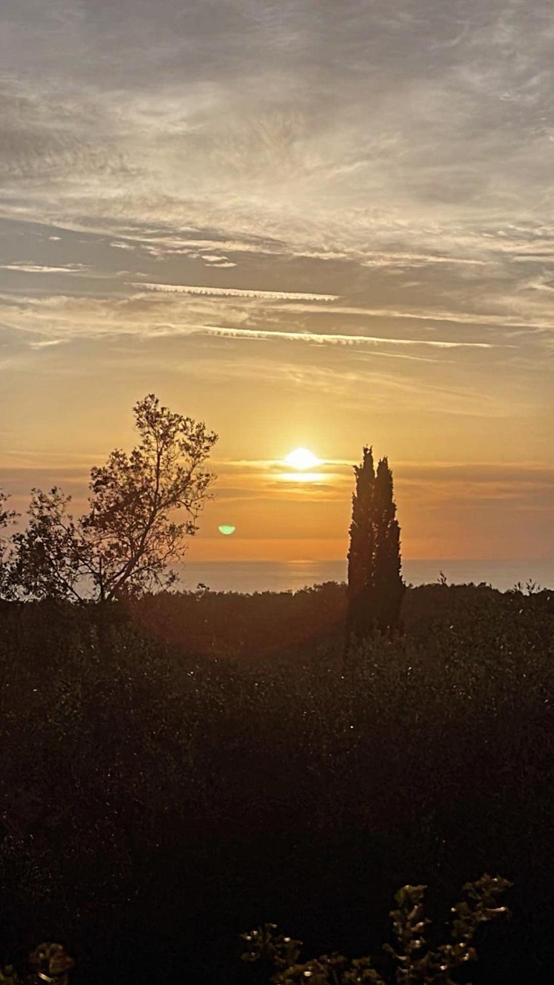 פאלאוקסטריצה Villa Maria מראה חיצוני תמונה